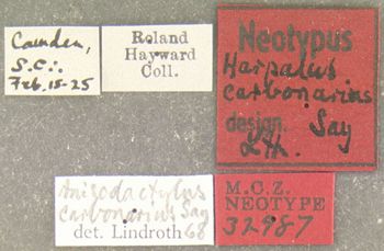 Media type: image;   Entomology 32987 Aspect: labels